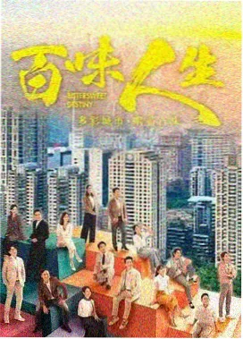 我邻居的妻子 收视率夺冠